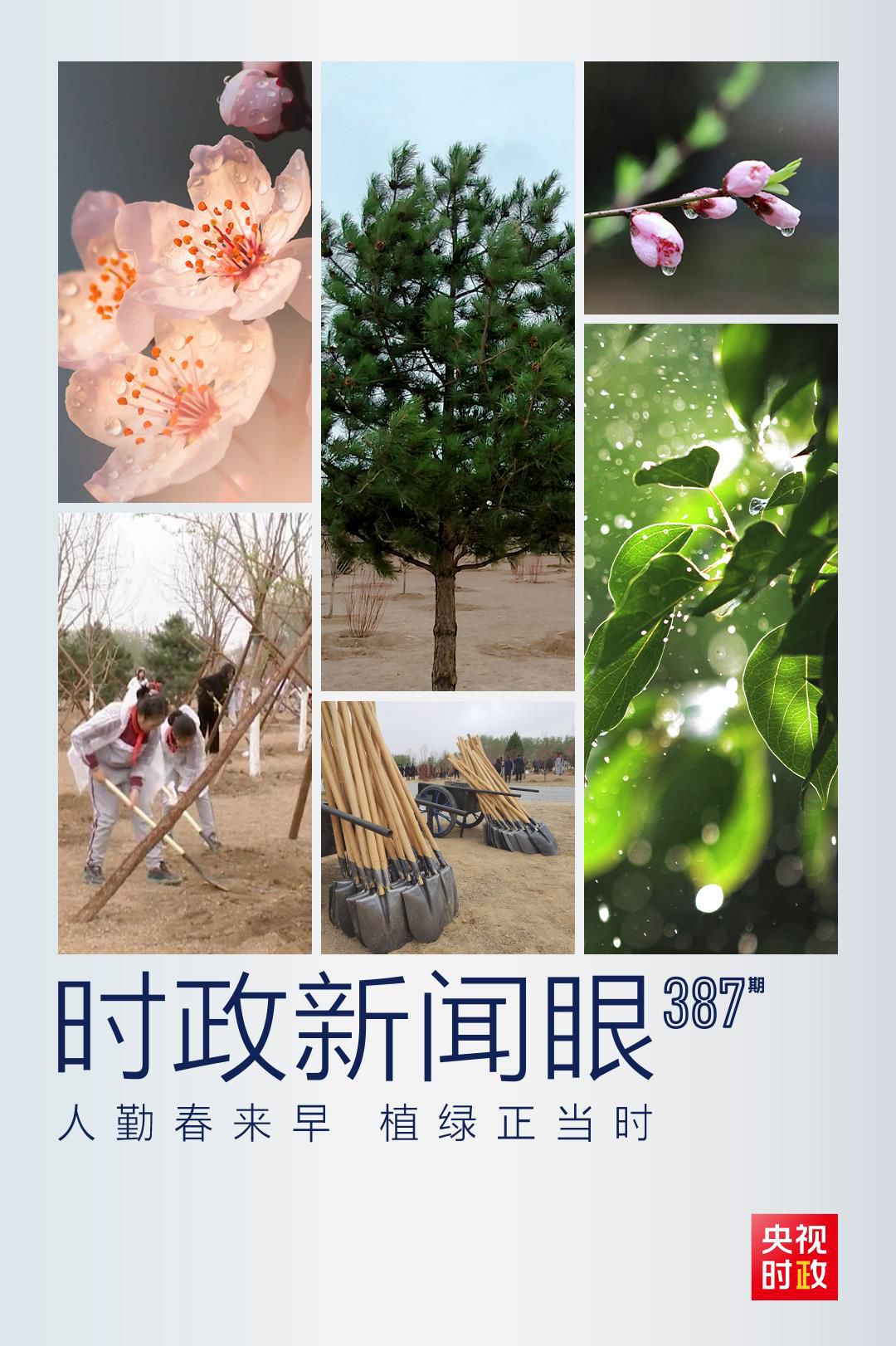 在今年首都義務(wù)植樹(shù)現(xiàn)場(chǎng)，習(xí)近平這三句話飽含深意