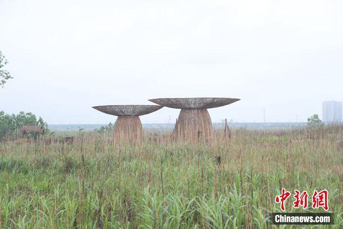 江水變清、江豚重現(xiàn)……這座城市如何守護(hù)碧水
