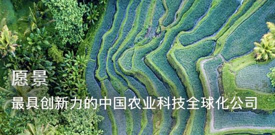 先正達(dá)過會(huì)！A股史上第四大IPO什么來頭？