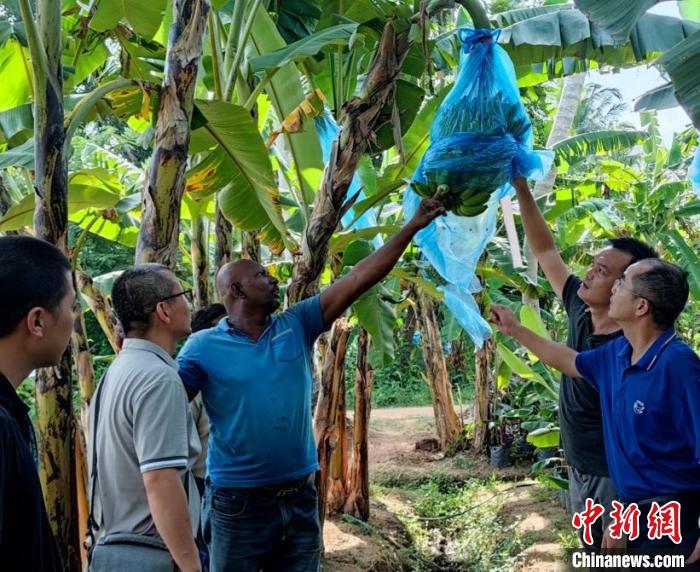 在金融危機(jī)國(guó)家助農(nóng)是什么體驗(yàn)？專訪“中國(guó)-FAO-斯里蘭卡南南合作”項(xiàng)目團(tuán)隊(duì)隊(duì)長(zhǎng)